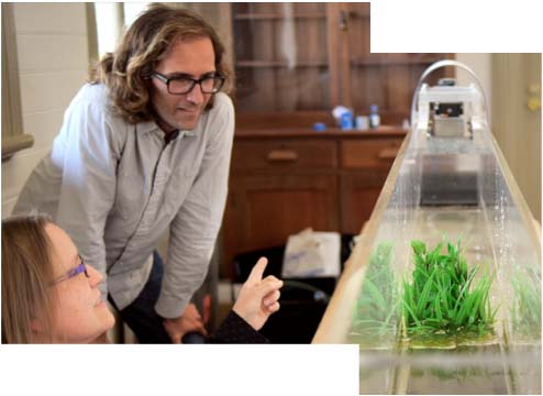 Mature aged student looking at project 